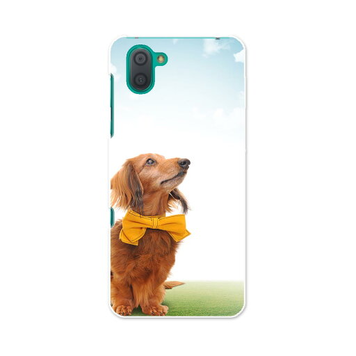 SH-04L AQUOS R3 アクオス アールスリー sh04l docomo ドコモ スマホ カバー ケース スマホケース スマホカバー PC ハードケース 002852 犬 動物 写真 SH-04L AQUOS R3 アクオス アールスリー sh04l docomo ドコモ スマホ カバー ケース スマホケース スマホカバー PC ハードケース 002852 犬 動物 写真