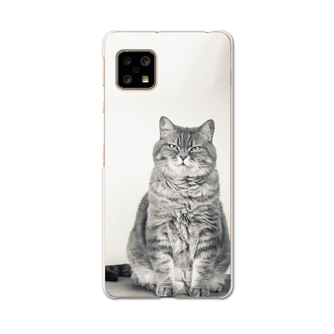 AQUOS Sense4 専用ケース ハードケース SH-41A docomo ドコモ igcase スマホカバー カバー ケース 002901 アニマル 猫　動物　写真