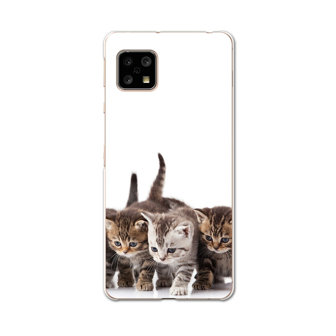 乐天商城 - AQUOS Sense4 専用ケース ハードケース SH-41A docomo ドコモ igcase スマホカバー カバー ケース 005928 アニマル 写真・風景 写真　動物　猫　ねこ