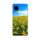 AQUOS sense5G 専用ケース ハードケース SHG03 au igcase スマホカバー カバー ケース 007936 フラワー 写真 花 フラワー 向日葵 ひまわり