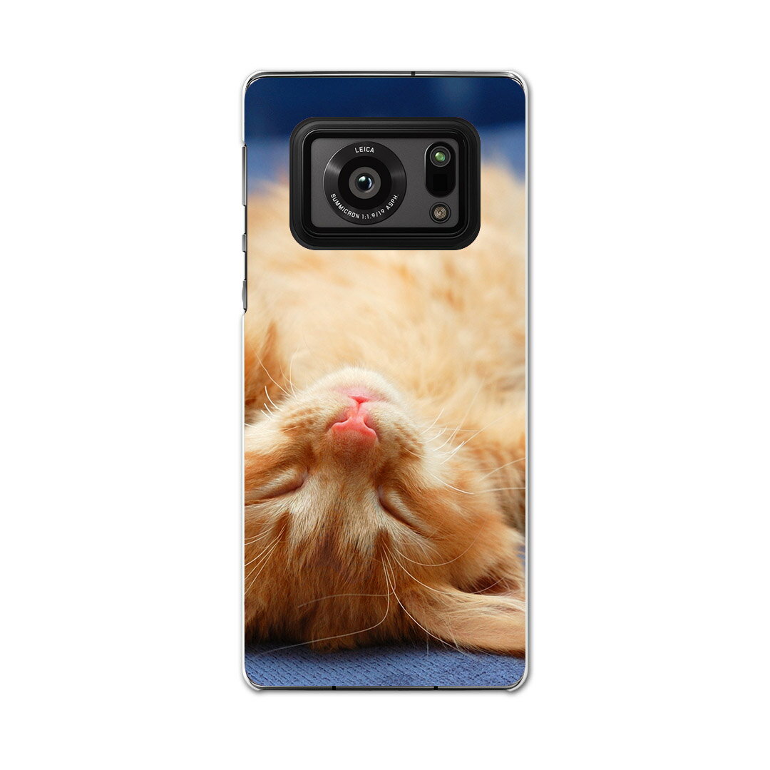AQUOS R6 SH-51B SHARP シャープ アクオス docomo ドコモ スマホ カバー ケース スマホケース スマホカバー PC ハードケース 002759 猫　動物　写真