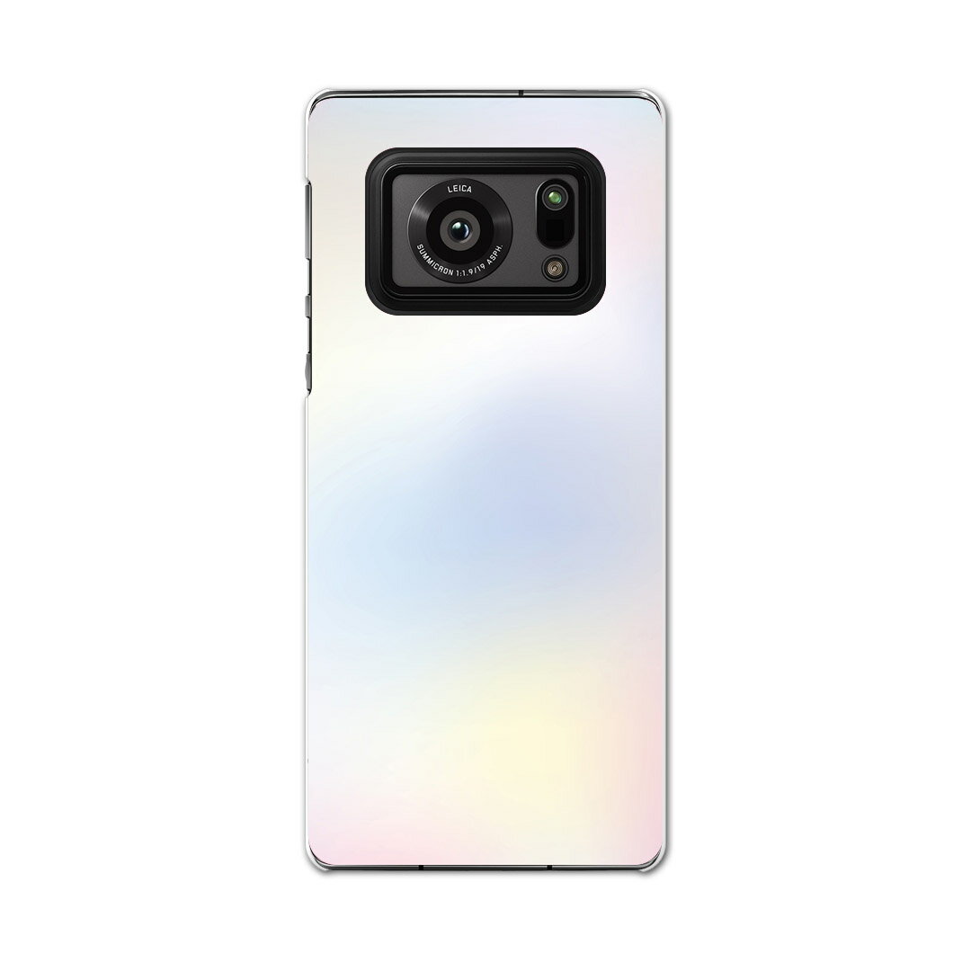 AQUOS R6 SH-51B SHARP シャープ アクオス docomo ドコモ スマホ カバー ケース スマホケース スマホカバー PC ハードケース 009634 水彩　ピンク　青