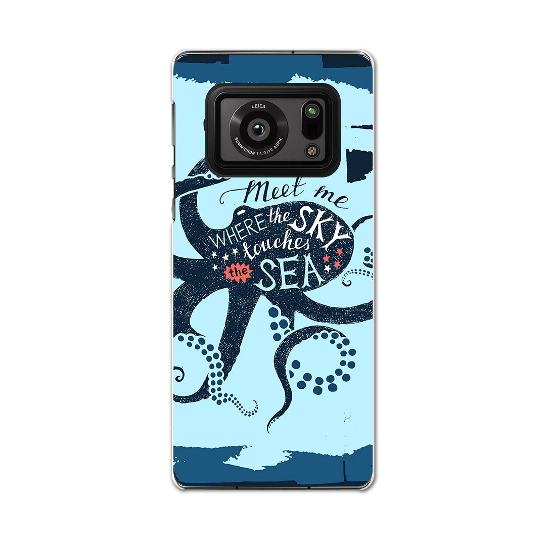 AQUOS R6 SH-51B SHARP シャープ アクオ