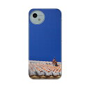 AQUOS wish4 用 ハードケース SH-52E / A402SH 共通対応 ハード ケース sh52e 対応 ケース カバー 002774 沖縄 シーサー 写真