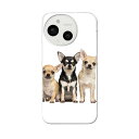AQUOS sense9 用 手帳型ケース SH-53E / SHG14 / SH-M29 共通対応 sh53e ケース カバー ハードケース 002885 犬 動物 写真(2)