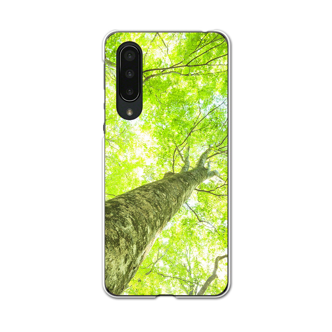 AQUOS zero5G basic 専用ハードケース AQUOS zero5G DX SHG02 用 スマホカバー カバー ケース pc ハードケース 009755 植物　緑　写真