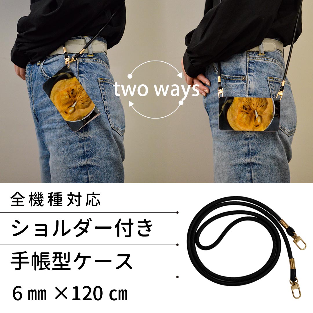 iPhone 6 plus/ iPhone 6s plus / iPhone 7 plus / iPhone 8 plus ストラップ付き ケース ショルダー iphone6plus スマホ 手帳型 マグネット式 ピタッと閉まる スマホカバー 肩掛け 斜めかけ 022907 かぼちゃ　食べ物　写真　パンプキン