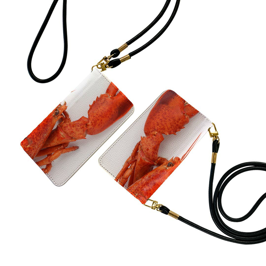 SH-M10 AQUOS zero アクオス ゼロ SIMフリー shm10 ストラップ付き ケース ショルダー スマホ 落下防止 手帳型 マグネット式 ピタッと閉まる スマホカバー 肩掛け 斜めかけ 006638 ザリガニ　生き物