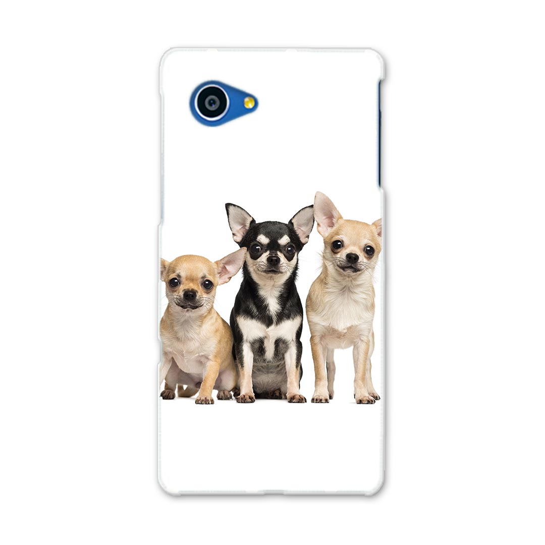 SHV38 AQUOS SERIE mini セリエ ミニ shv38 au エーユー スマホ カバー スマホケース スマホカバー PC ハードケース 犬 動物 写真 アニマル 002885