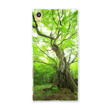 SOV32 Xperia Z5 エクスペリア au エーユー スマホ カバー スマホケース ハード pc ケース ハードケース 写真 森 植物 写真・風景 005452