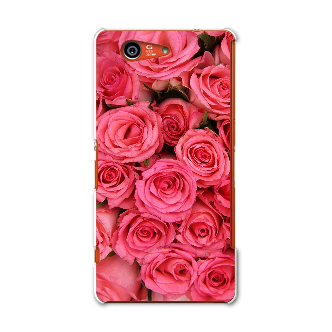 SO-02G Xperia Z3　compact エクスペリア z3 コンパクト so02g docomo ドコモ スマホ カバー ケース スマホケース スマホカバー PC ハードケース 花　薔薇　ピンク 写真・風景 フラワー 005315