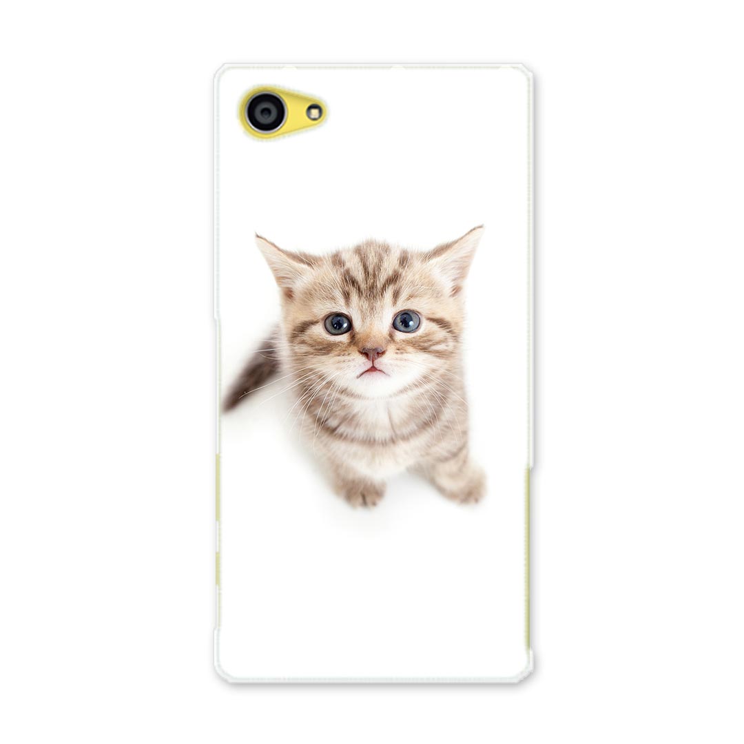 SO-02H Xperia Z5 compact エクスペリア z5 コンパクト so02h docomo ドコモ スマホ カバー ケース スマホケース スマホカバー PC ハードケース ネコ 動物 アニマル 001194