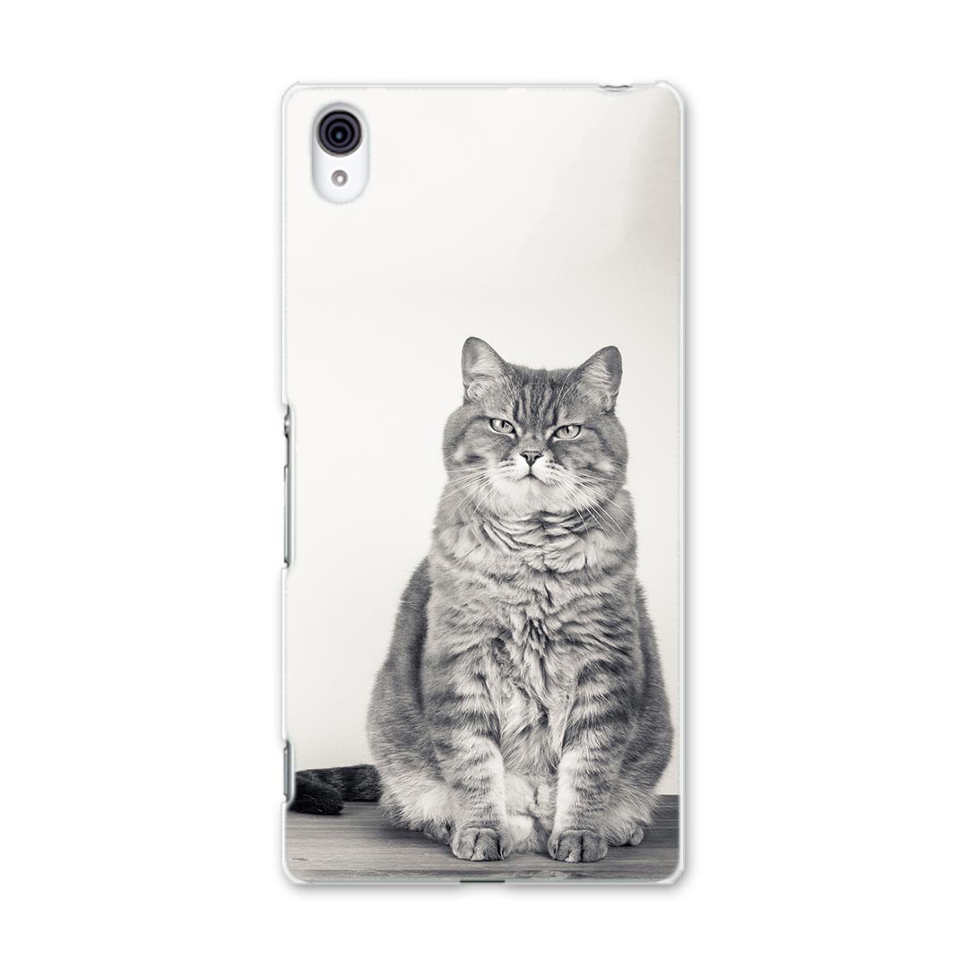 SO-03G Xperia Z4 エクスペリア so03g docomo ドコモ スマホ カバー スマホケース スマホカバー PC ハードケース 猫 動物 写真 アニマル 002901