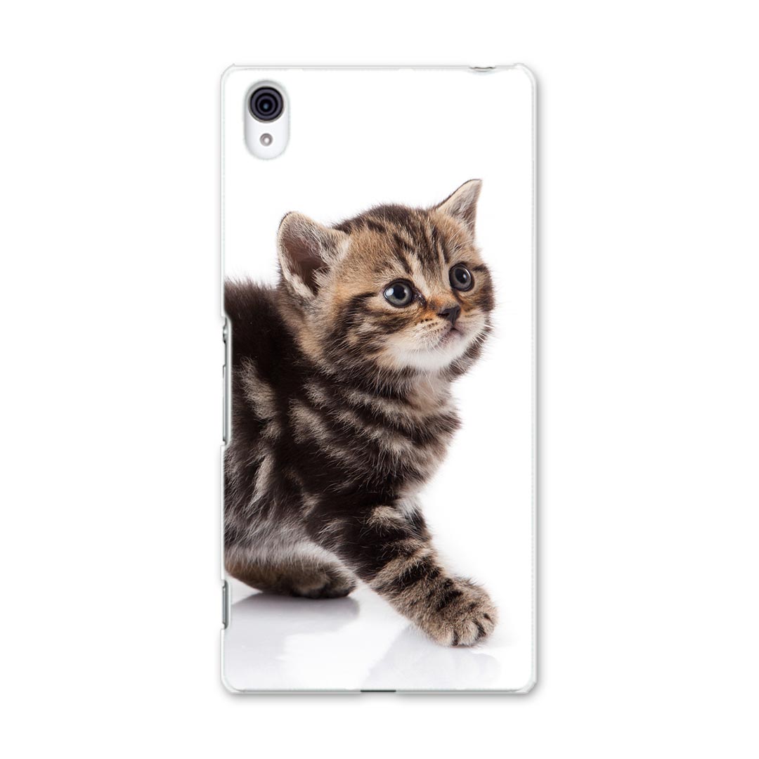 402SO Xperia Z4 エクスペリア softbank ソフトバンク スマホ カバー スマホケース ハード pc ケース ハードケース 写真　動物　猫　ねこ アニマル 写真・風景 005930