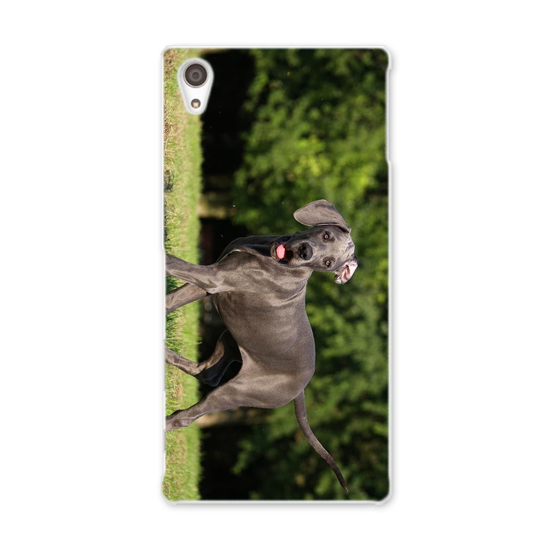 SO-03H Xperia Z5 premium エクスペリア プレミアム so03h docomo ドコモ スマホ カバー スマホケース スマホカバー TPU ソフトケース 犬 動物 写真 アニマル 002584