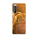 Xperia 1 II SO-51A エクスペリアワンマークツー so51a ドコモ docomo スマホ カバー ケース スマホケース スマホカバー PC ハードケース 016459 絵画 キリスト(2)