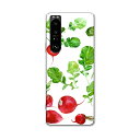 SO-51B Xperia 1 III エクスペリア ソニー SONY docomo ドコモスマホ カバー ケース スマホケース スマホカバー PC ハードケース 009635 食べ物 水彩 赤 緑(2)
