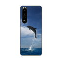 SO-51B Xperia 1 III エクスペリア ソニー SONY docomo ドコモスマホ カバー ケース スマホケース スマホカバー PC ハードケース 010965 海 イルカ 写真(2)