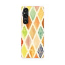 Xperia 1 V SO-51D SOG10 XQ-DQ44 専用 ケース 共通対応 so51d igcase スマホカバー カバー ケース pc ハードケー...