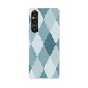 Xperia 1 V SO-51D SOG10 XQ-DQ44 専用 ケース 共通対応 so51d igcase スマホカバー カバー ケース pc ハードケー...