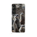 Xperia 1 VI 用 ハードケース SO-51E / SOG13 / A401SO 共通対応 ハード ケース so51e 対応 ケース カバー 023560 ミーアキャット 動物 写真