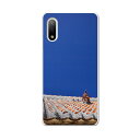Xperia 10 IV 専用ハードケース SO-52C / SOG07 / A207SO 共通対応 so52c igcase スマホカバー カバー ケース pc ハードケース 002774 沖縄 シーサー 写真