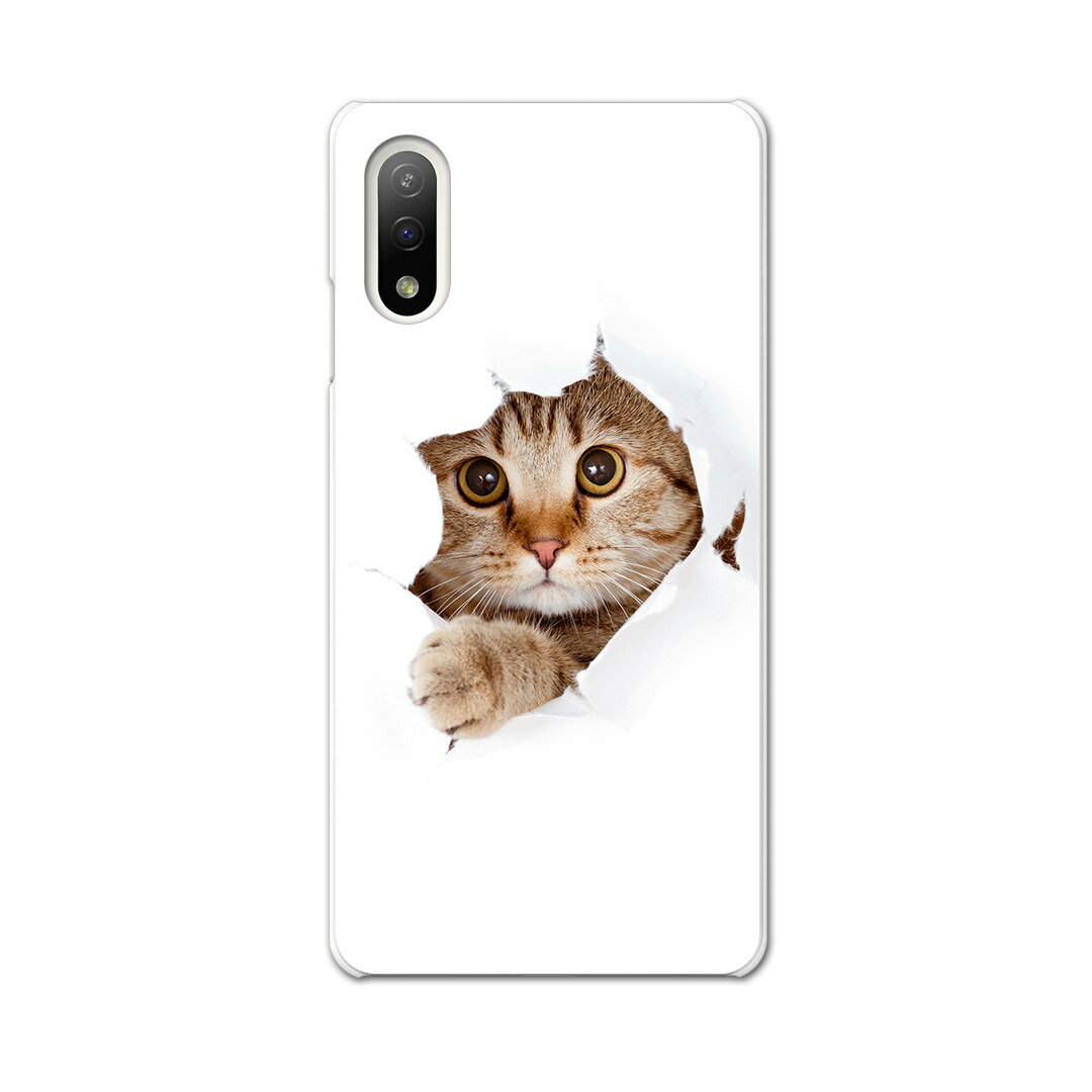 Xperia 10 IV 専用ハードケース SO-52C / SOG07 / A207SO 共通対応 so52c igcase スマホカバー カバー ケース pc ハードケース 002783 猫 動物 写真