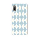 Xperia 10 IV 専用ハードケース SO-52C / SOG07 / A207SO 共通対応 so52c igcase スマホカバー カバー ケース p...