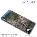 スキンシール スマホケース ステッカー スマホカバー ケース 保護シール 背面 スマホ スマートフォン 人気 プレゼント 単品 ss 003300 CP-D02...
