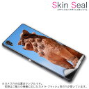 スキンシール スマホケース ステッカー スマホカバー ケース 保護シール 背面 スマホ スマートフォン 人気 プレゼント 単品 ss 004542 CP-D02 FleaPhone Covia Covia simfree SIMフリー 写真・風景 シーサー 沖縄 写真