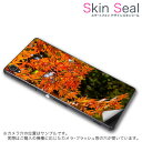 スキンシール スマホケース ステッカー スマホカバー ケース 保護シール 背面 スマホ スマートフォン 人気 プレゼント 単品 ss 004615 CP-D02 FleaPhone Covia Covia simfree SIMフリー 写真・風景 紅葉 秋 風景