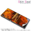 スキンシール スマホケース ステッカー スマホカバー ケース 保護シール 背面 スマホ スマートフォン 人気 プレゼント 単品 ss 005203 CP-D02 FleaPhone Covia Covia simfree SIMフリー 写真・風景 紅葉 秋 景色