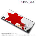 スキンシール スマホケース ステッカー スマホカバー ケース 保護シール 背面 スマホ スマートフォン 人気 プレゼント 単品 ss 005777 CP-D02 FleaPhone Covia Covia simfree SIMフリー ユニーク 星 サンタ 写真