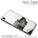 スキンシール スマホケース ステッカー スマホカバー ケース 保護シール 背面 スマホ スマートフォン 人気 プレゼント 単品 ss 005907 CP-D02 FleaPhone Covia Covia simfree SIMフリー アニマル 写真・風景 写真 動物 猫 ねこ