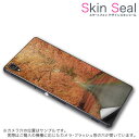 スキンシール スマホケース ステッカー スマホカバー ケース 保護シール 背面 スマホ スマートフォン 人気 プレゼント 単品 ss 005919 CP-D02 FleaPhone Covia Covia simfree SIMフリー 写真・風景 写真 秋 並木道