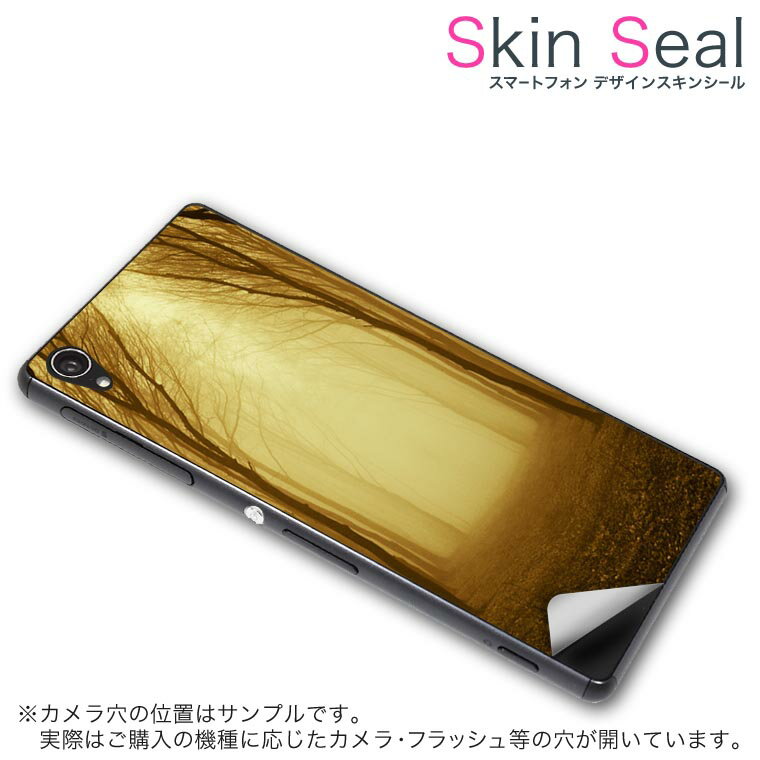 スキンシール スマホケース ステッカー スマホカバー ケース 保護シール 背面 スマホ スマートフォン 人気 プレゼント 単品 ss 007665 CP-D02 FleaPhone Covia Covia simfree SIMフリー クール 写真・風景 写真 木 植物 森