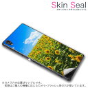 スキンシール スマホケース ステッカー スマホカバー ケース 保護シール 背面 スマホ スマートフォン 人気 プレゼント 単品 ss 007936 CP-D02 FleaPhone Covia Covia simfree SIMフリー フラワー 写真 花 フラワー 向日葵 ひまわり