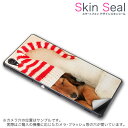 スキンシール スマホケース ステッカー スマホカバー ケース 保護シール 背面 スマホ スマートフォン 人気 プレゼント 単品 ss 008439 CP-D02 FleaPhone Covia Covia simfree SIMフリー アニマル 写真 犬 帽子 赤 レッド