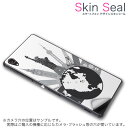 スキンシール スマホケース ステッカー スマホカバー ケース 保護シール 背面 スマホ スマートフォン 人気 プレゼント 単品 dgw10m ss 009504 DG-W10M Diginnos Mobile Windows 10 MobileDospara Dospara simfree SIMフリー 風景 外国 地球