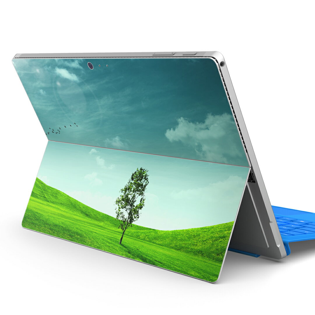 Surface Pro7 (2019) Pro6 Pro2017 pro4 用 スキンシール igsticker サーフェス ノートブック ノートパソコン カバー ケース フィルム ステッカー アクセサリー 保護 002526 景色　風景　写真