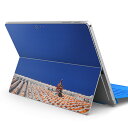 Surface Pro7 (2019) Pro6 Pro2017 pro4 用 スキンシール igsticker サーフェス ノートブック ノートパソコン カバー ケース フィルム ステッカー アクセサリー 保護 002774 沖縄 シーサー 写真
