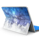 Surface Pro7 (2019) Pro6 Pro2017 pro4 p XLV[ igsticker T[tFX m[gubN m[gp\R Jo[ P[X tB XebJ[ ANZT[ ی 012836 c[@؁@