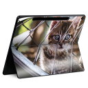 Surface Pro 12 インチ (2025) 用 スキンシール 全面スキンシール フル SurfacePro12 用 背面 底 ステッカー 保護シール 高品質再剥離性シート キャラクター かわいい 023396 女性 顔 人物 025949 動物 猫 ネコ 車輪|詳細画像