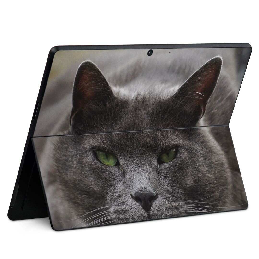 Surface Pro11(2024) / Pro10(for Business) / Pro9(2022) 共通対応 背面 保護 デザイン スキンシール Pro8/ProX 各種対応 002650 猫 動物 写真