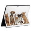 Surface Pro 9 Surface Pro 8 Surface Pro X 用 スキンシール 共通対応 igsticker サーフェス プロ 9 / プロ 8 カバー ケース 　　002789 犬　猫　動物　写真