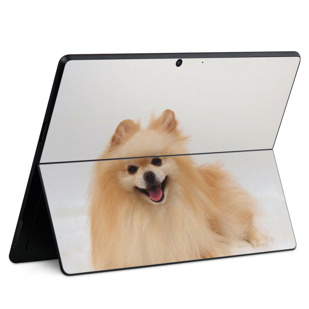 Surface Pro11(2024) / Pro10(for Business) / Pro9(2022) 共通対応 背面 保護 デザイン スキンシール Pro8/ProX 各種対応 002912 犬 動物 写真