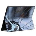 Surface Pro11(2024) / Pro10(for Business) / Pro9(2022) 共通対応 背面 保護 デザイン スキンシール Pro8/ProX 各種対応 022979 自転車 写真