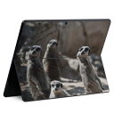 Surface Pro11(2024) / Pro10(for Business) / Pro9(2022) 共通対応 背面 保護 デザイン スキンシール Pro8/ProX 各種対応 023560 ミーアキャット 動物 写真