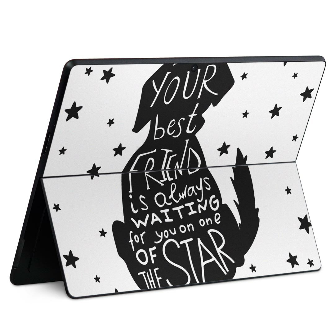 Surface Pro11(2024) / Pro10(for Business) / Pro9(2022) 共通対応 背面 保護 デザイン スキンシール ..