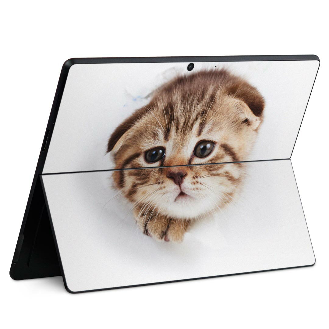 Surface Pro11(2024) / Pro10(for Business) / Pro9(2022) 共通対応 背面 保護 デザイン スキンシール ..